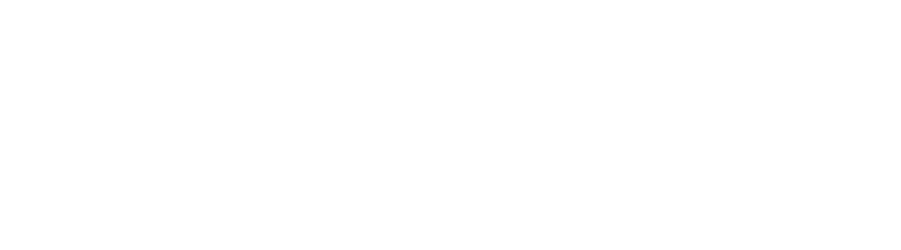 Clever logo